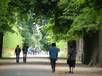  Allée du Parc de la Pépinière